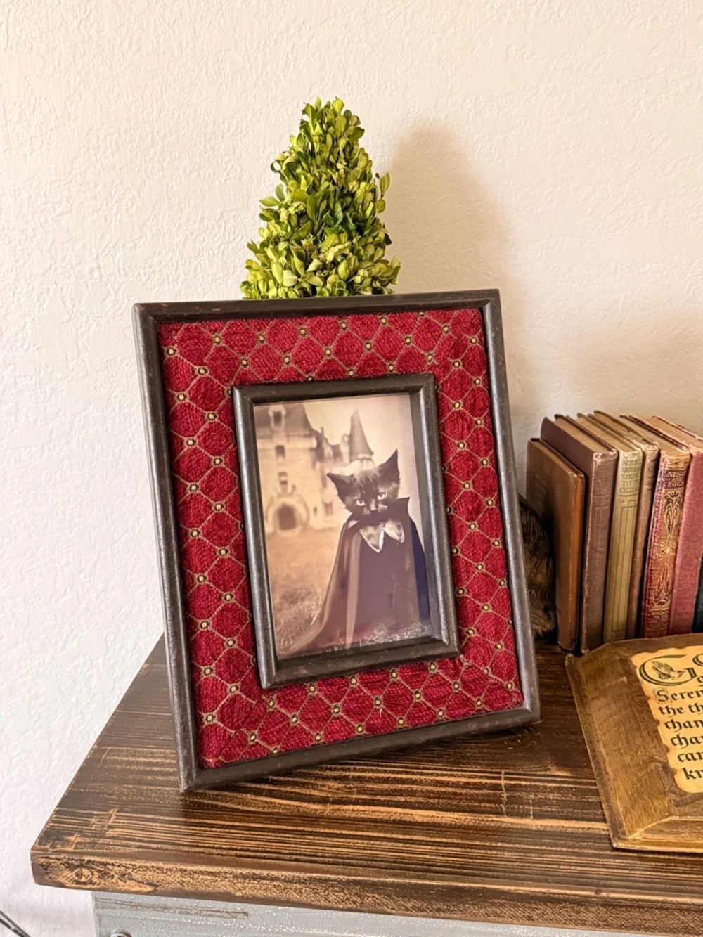 Vintage Gothic Red Quilted Velvet Picture Frame with Black Cat